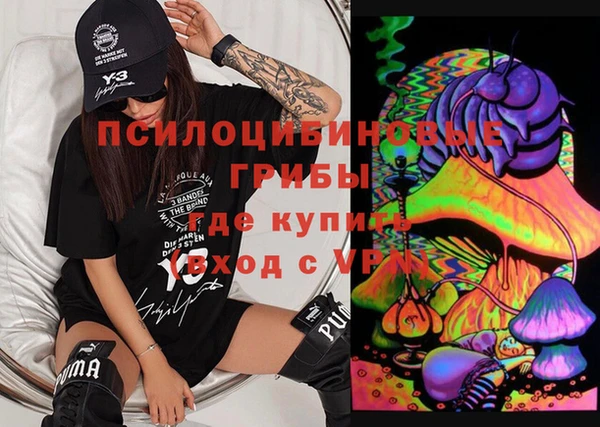 молекула духа Нязепетровск