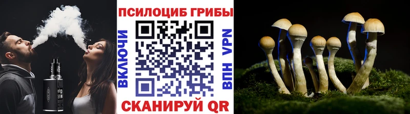 Галлюциногенные грибы Magic Shrooms  Пустошка 